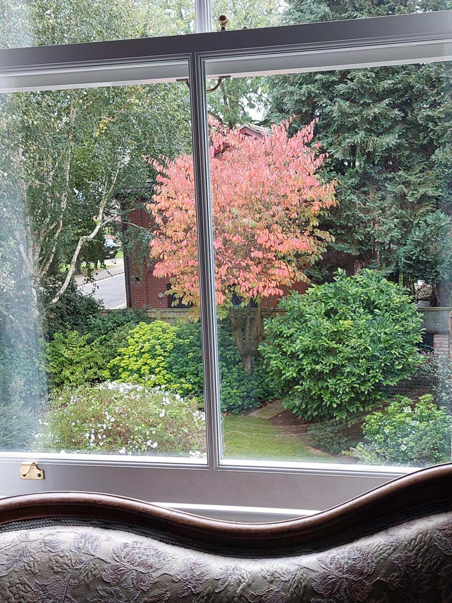 Banbury Cross B&B Zewnętrze zdjęcie